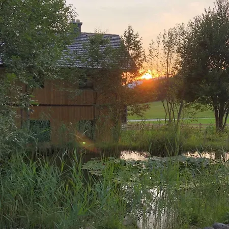 Nette In Mit Garten Und Grill Und Bergblick By Interhome *
